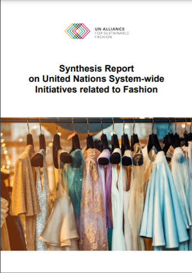 Synthesis Report on United Nations System