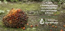 Olej palmowy na rynku polskim, 2020