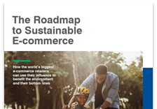 Environmental Defense Fund „The Roadmap to Sustainable  E-commerce”